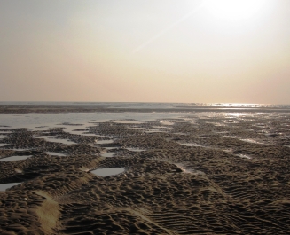 photo 468716