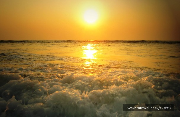 photo 468864