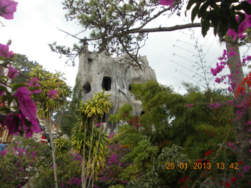 photo 267237