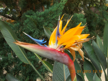 photo 272416