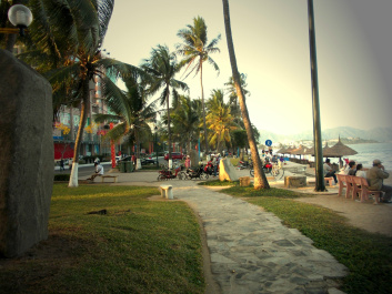 photo 285842