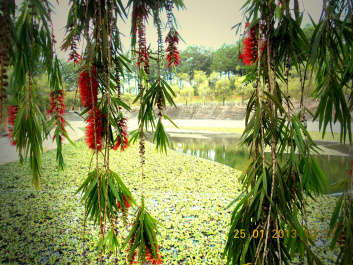 photo 303417
