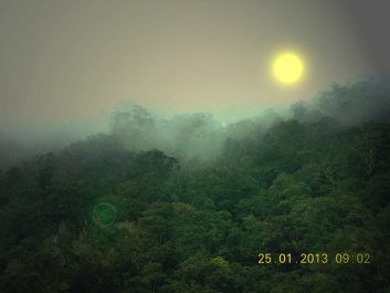 photo 303418