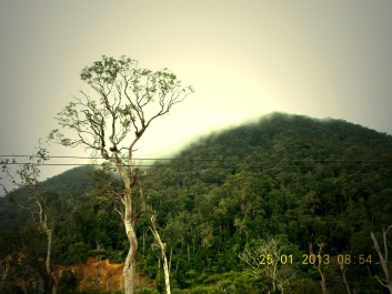 photo 307156