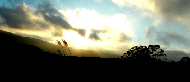 photo 352586