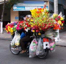 photo 429668