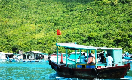 photo 494327
