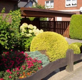 photo 268262