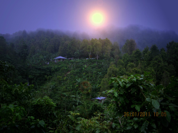 photo 296978