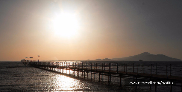 photo 1411747
