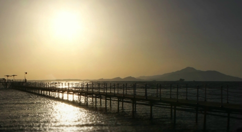 photo 904509