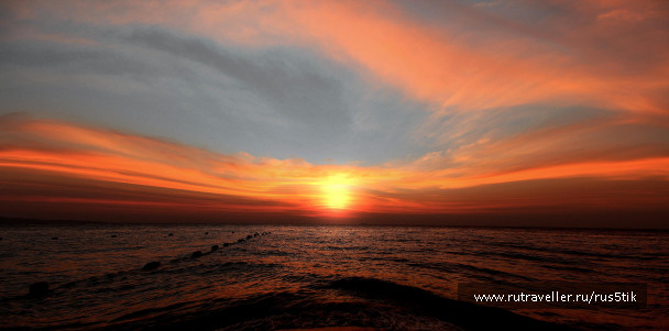 photo 1463560