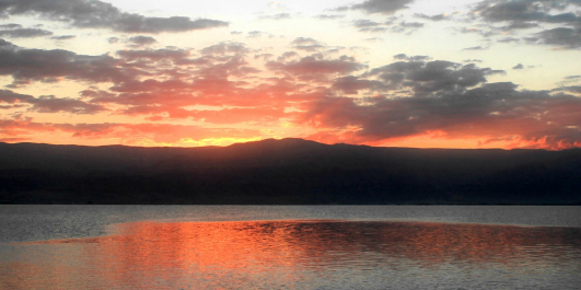 photo 986732
