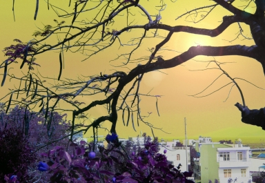 photo 672336