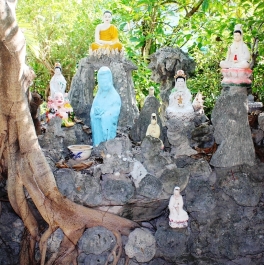 photo 679691