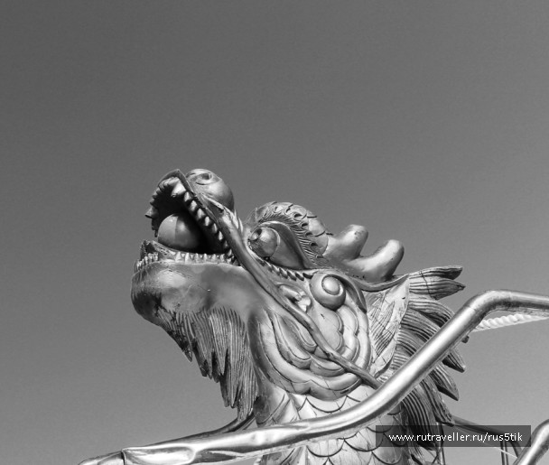 photo 1126515