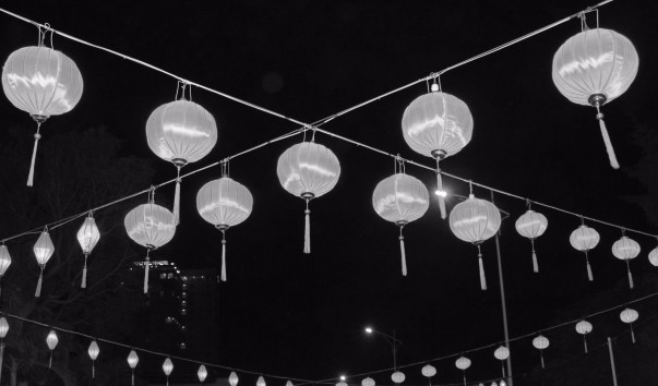 IMG_0503 - 