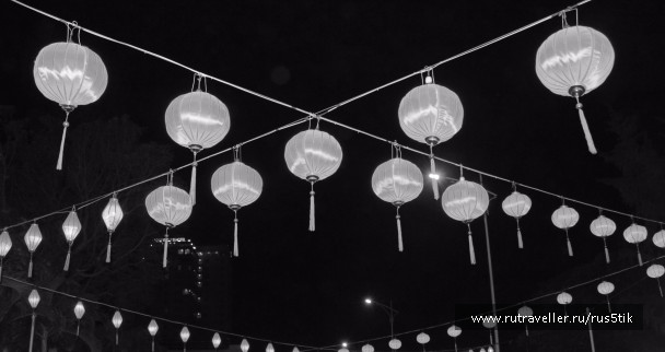 photo 1126516