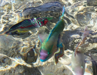 photo 904325