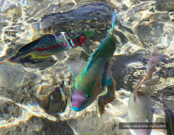 photo 904325
