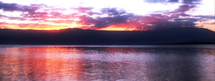 photo 903886