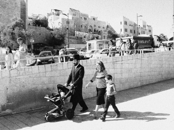 photo 986752