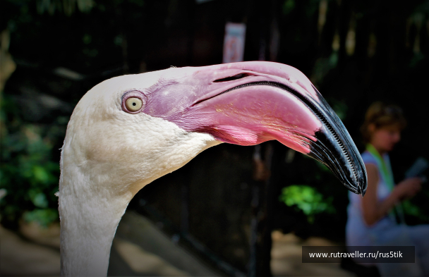photo 2022548
