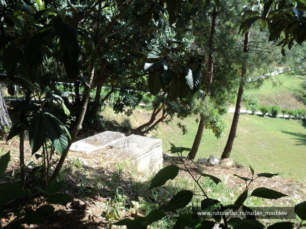 photo 898849