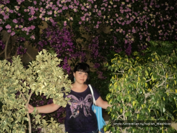 photo 898850