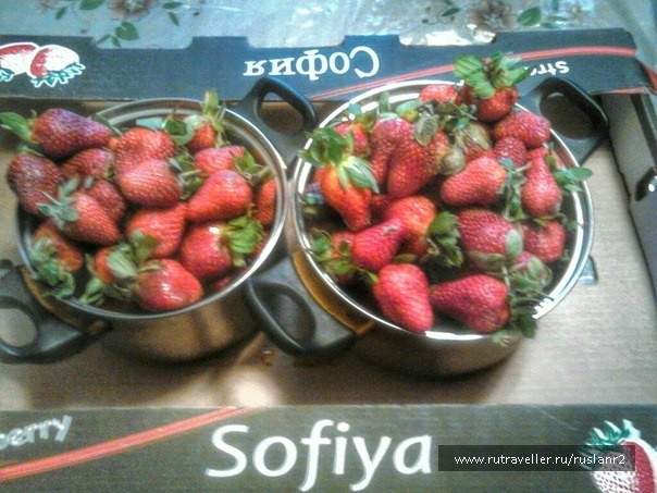 photo 757219