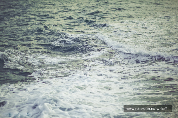 photo 298814