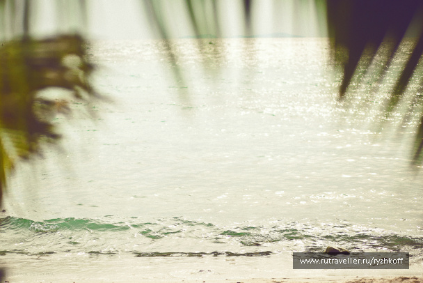 photo 298819