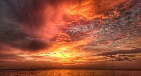 photo 1178394
