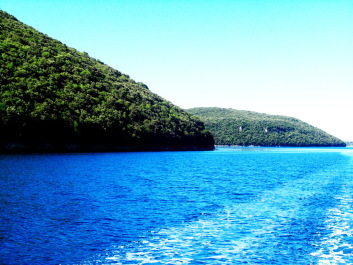 photo 226083