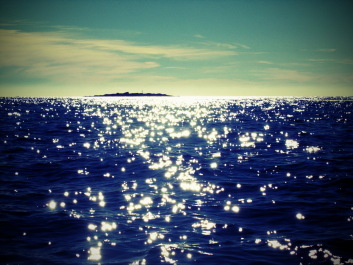 photo 226084