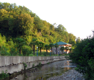 photo 1201259