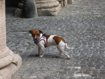 photo 1405426