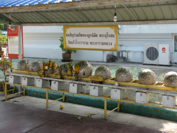 photo 1461469
