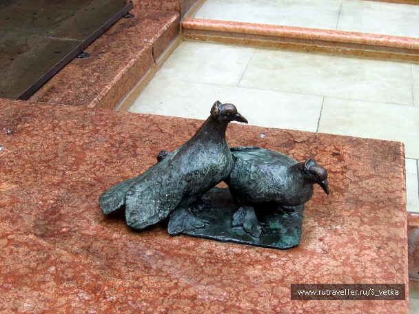 photo 1550654