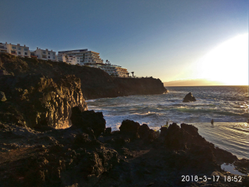 photo 1731930