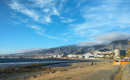 photo 1727599