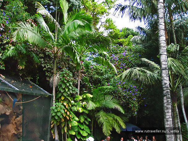 photo 1734763