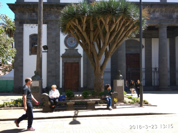 photo 1738213