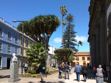 photo 1738218