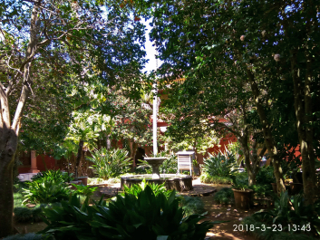 photo 1738349