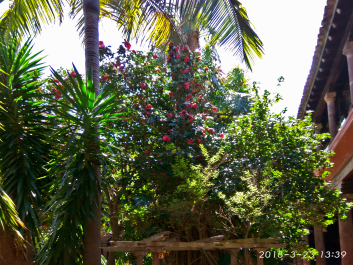 photo 1738358