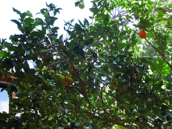 photo 1738362