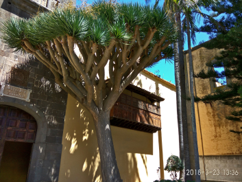 photo 1738367