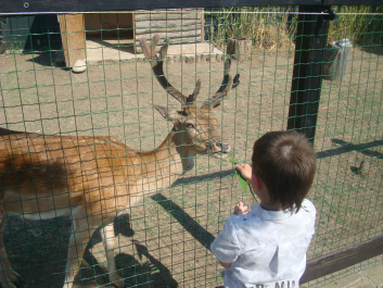 photo 468770