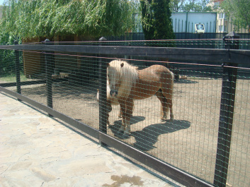 photo 468775